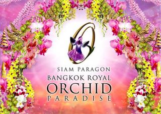 9080-bangkok_royal_orchid_paradise_-t