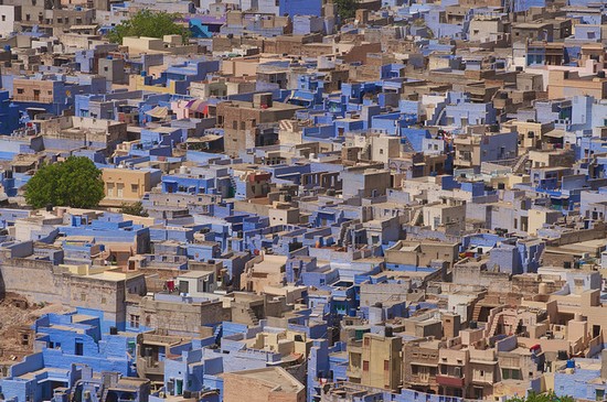 Blue City เมืองสีฟ้า แห่ง อินเดีย