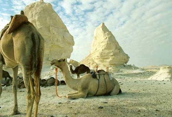 ทะเลทรายขาว ธรรมชาติที่รอการค้นพบ แห่ง อียิปต์