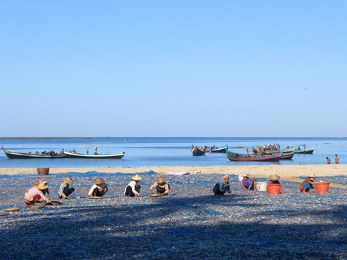 หาดงาปาลี ชายหาดที่ดีที่สุดในพม่า