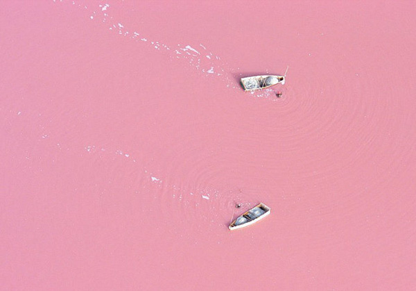 pink lake ทะเลสาบสีชมพู