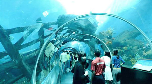 พิพิธภัณฑ์สัตว์น้ำทะเลที่ใหญ่ที่สุดในโลก สิงคโปร์