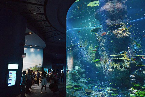 พิพิธภัณฑ์สัตว์น้ำทะเลที่ใหญ่ที่สุดในโลก