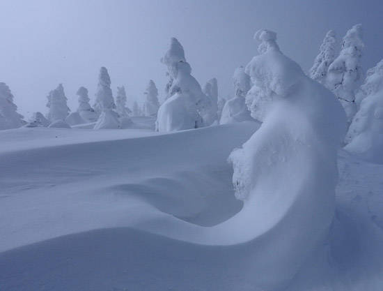 Snow Monster ปีศาจหิมะ แห่ง ญี่ปุ่น