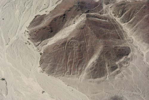 เส้นนาซคา (Nazca Lines)