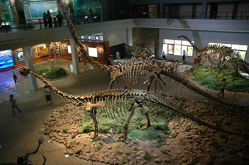 พิพิธภัณฑ์ไดโนเสาร์เสฉวน มณฑลเสฉวน