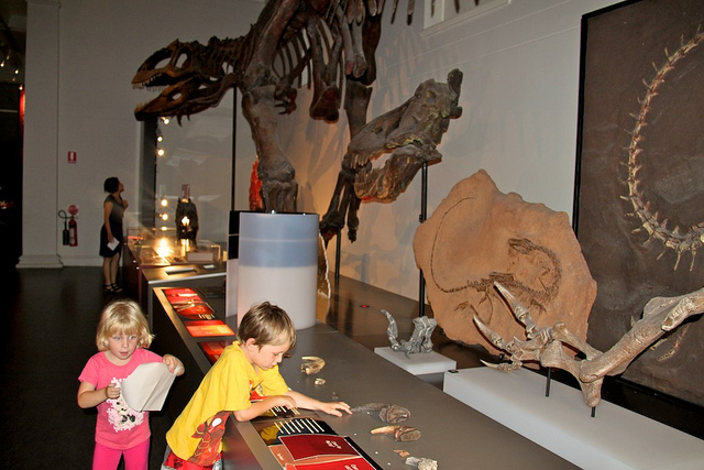 พิพิธภัณฑ์ไดโนเสาร์แห่งชาติ, กรุงแคนเบอร์รา