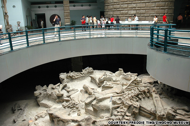 พิพิธภัณฑ์ไดโนเสาร์เสฉวน มณฑลเสฉวน