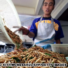A Thai worker arranges fried worms in the kitchen