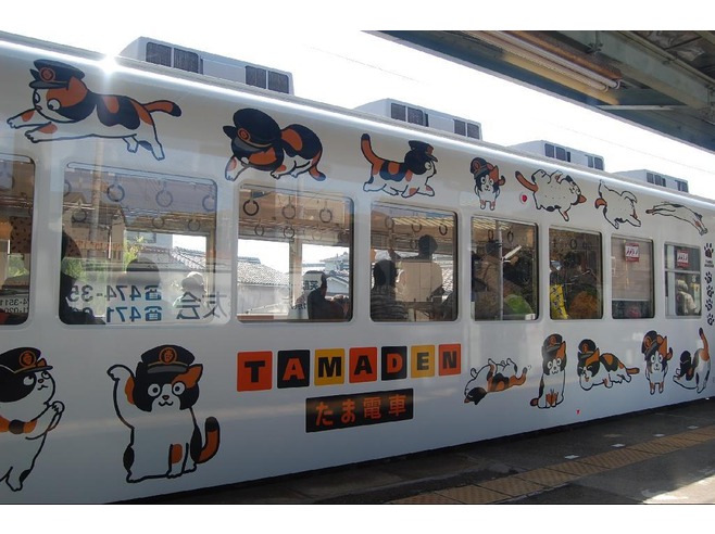 รถไฟแมว ทามะ ญี่ปุ่น