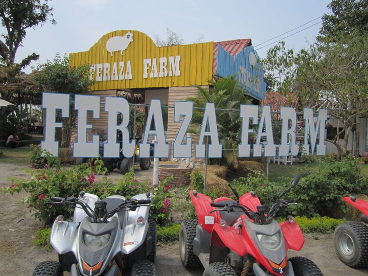 Feraza Farm เฟอราซ่าฟาร์ม สวนผึ้ง