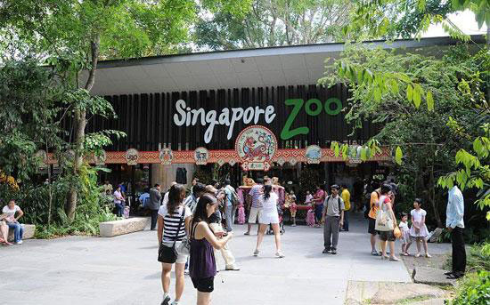 สวนสัตว์ สิงคโปร์