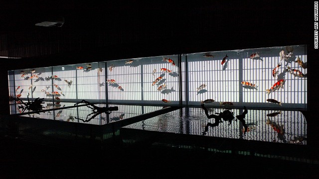 ศิลปะตู้ปลาทอง นิทรรศการโชว์สวยงาม ในเมืองโตเกียว