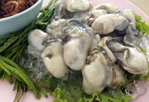 เทศกาลกินหอย ดูนก ตกหมึก ประจำปี 2556
