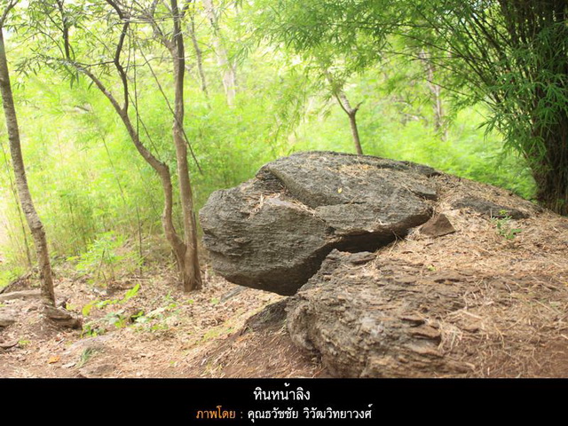 หินหน้าลิง , ผลงานของ คุณธวัชชัย วิวัฒวิทยาวงศ์