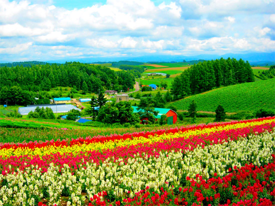 ฮอกไกโด เที่ยวฤดูไหนได้บ้าง? สถานที่ท่องเที่ยว Hokkaido เที่ยวญี่ปุ่น