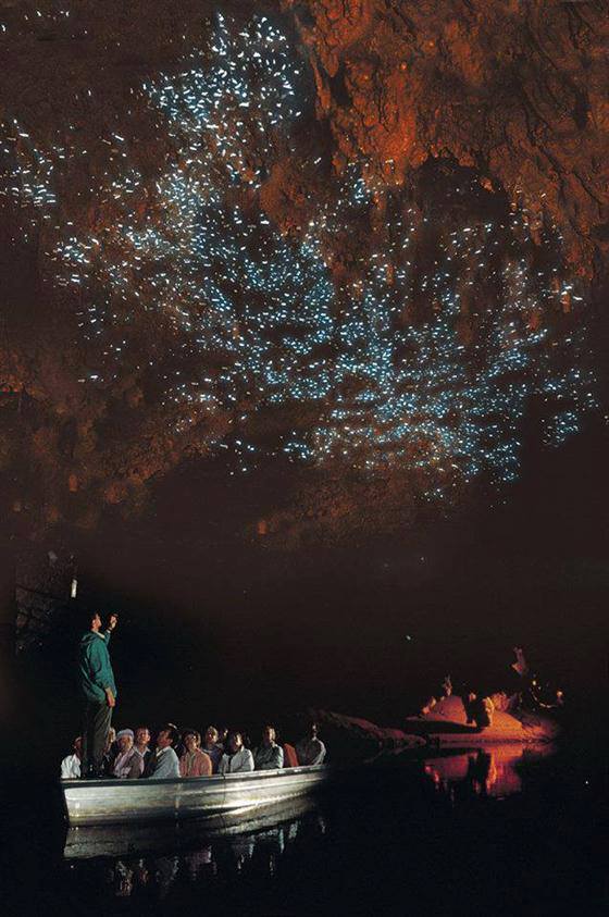 มหัศจรรย์ ถ้ำหนอนเรืองแสง สุดสวย Waitomo Glowworm Caves