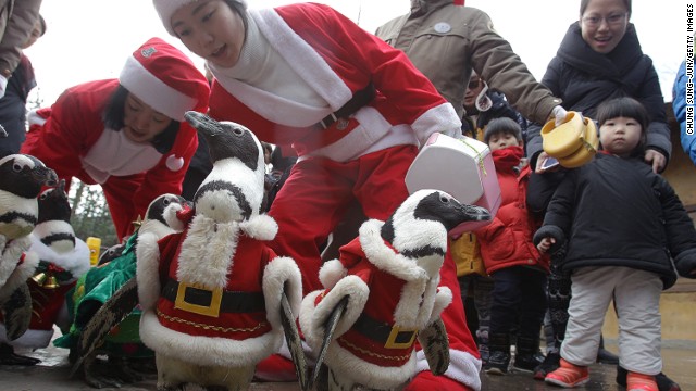 พาเหรด เพนกวิน ในชุดซานตาคลอส ที่ สวนสนุกเอเวอร์แลนด์ ในเกาหลีใต้