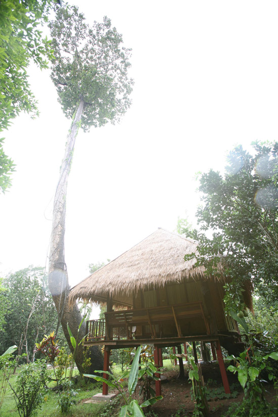 Bamboo Hut กระท่อมเขาดิน ทองผาภูมิ กาญจนบุรี 