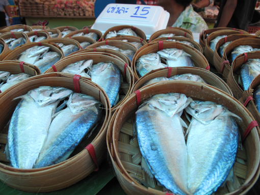 เทศกาลกินปลาทู และของดี เมืองแม่กลอง ครั้งที่ 16