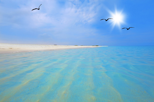 10 อันดับ ชายหาด ที่สวยที่สุดในโลก ที่ครั้งหนึ่งในชีวิตต้องลองไปเยือน!