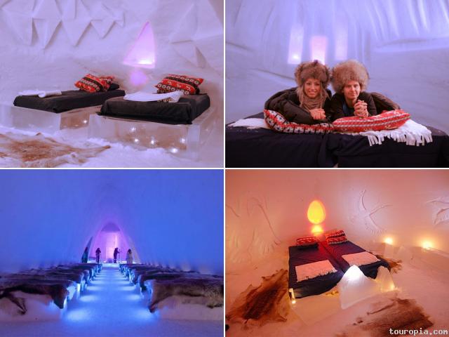โรงแรมหิมะในนอร์เวย์ผุด ฮัสกี้แท็กซี่ ครั้งแรกในโลก