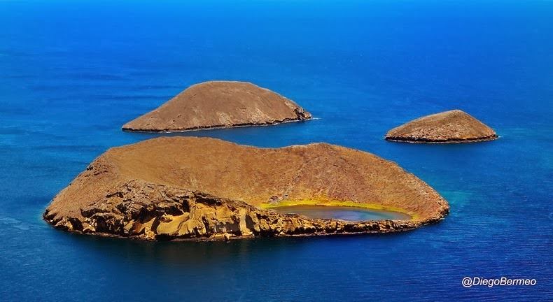 บ่อน้ำสวรรค์ ของเหล่านกฟลามิงโก ในหมู่เกาะกาลาปากอส