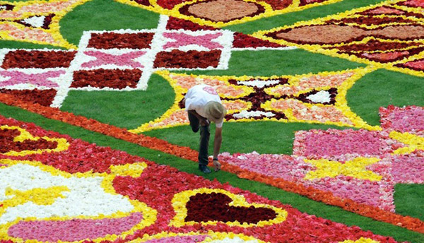 เทศกาลพรมดอกไม้ Flower Carpet กรุงบรัสเซลล์, เบลเยี่ยม