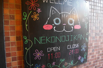 ไปเยือน คาเฟ่แมว Neko no JIkan ใกล้ชิดเหมียวน่ารักในเมืองโอซาก้า