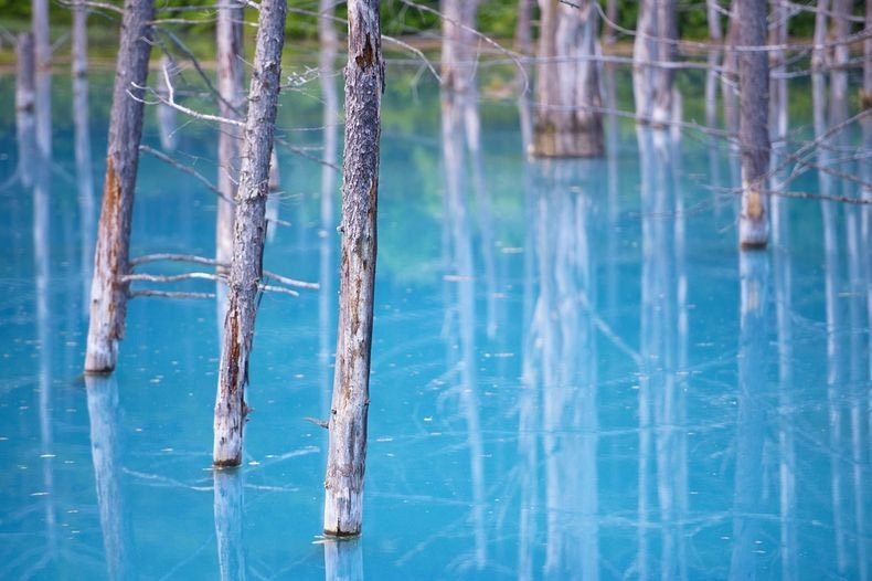 Blue Pond สระน้ำสีฟ้าสดใส ที่เที่ยวญี่ปุ่น