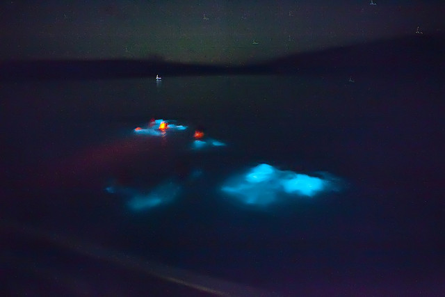Bioluminescent Bay2