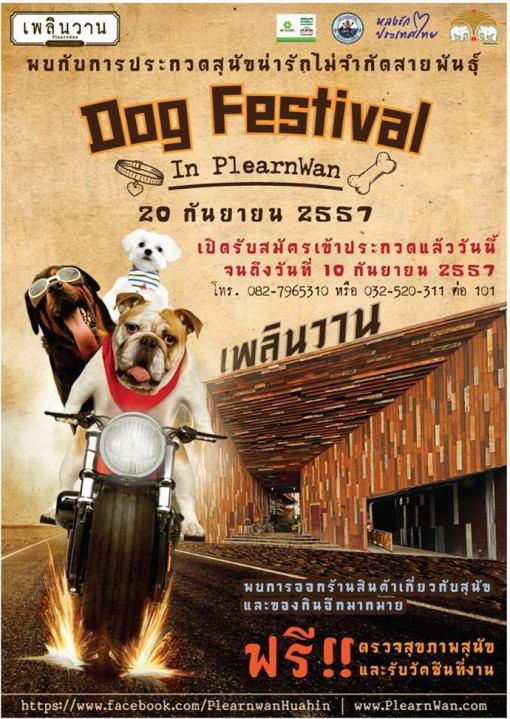 Dog Festival