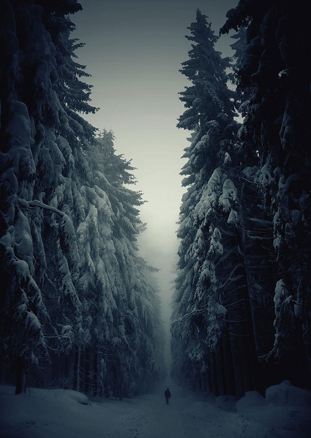 Winter Forest Path (สาธารณรัฐเช็ก)