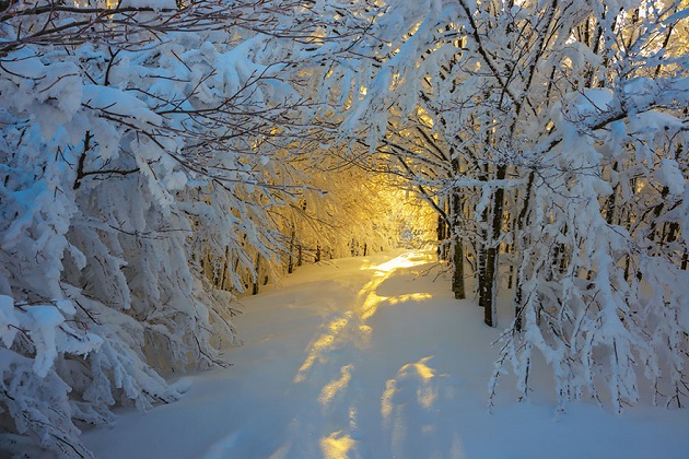 Winter Sunrise On Path