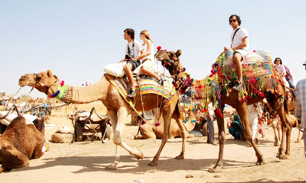 เทศกาลอูฐเมืองพุชคาร์ (Pushkar Camel Fair) ประเทศอินเดีย