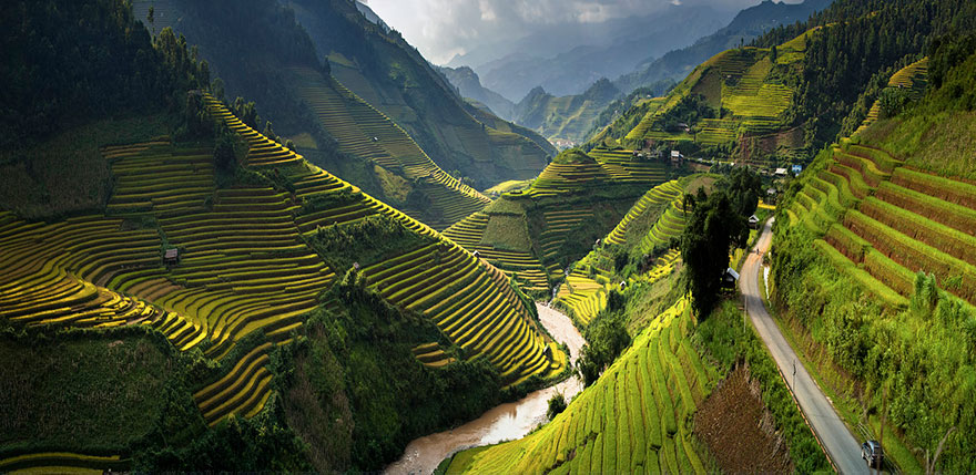 Rice Terrace Fields in Mu Cang Chai, Vietnam 1