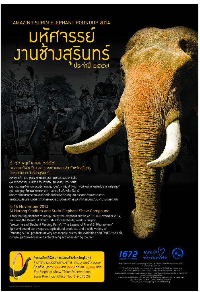 Poster Surin Elephant 