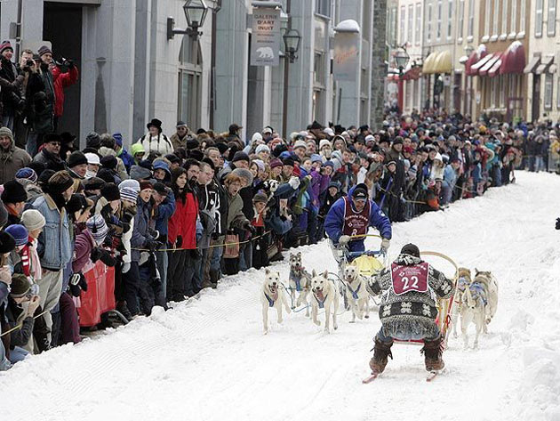 Quebec-Winter-Carnival-dog-sled