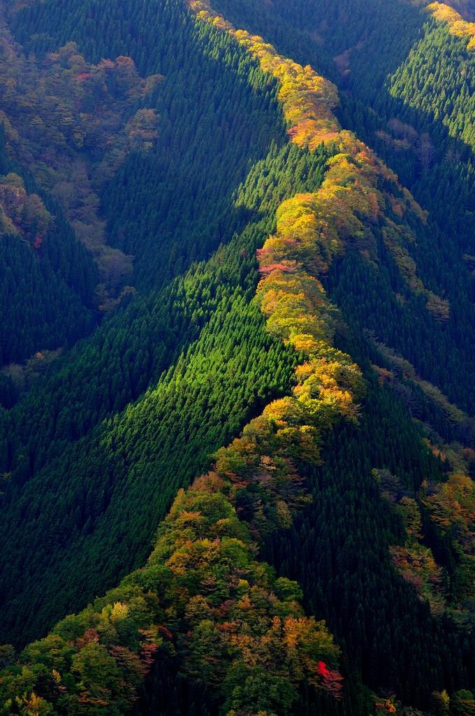 Japan hills