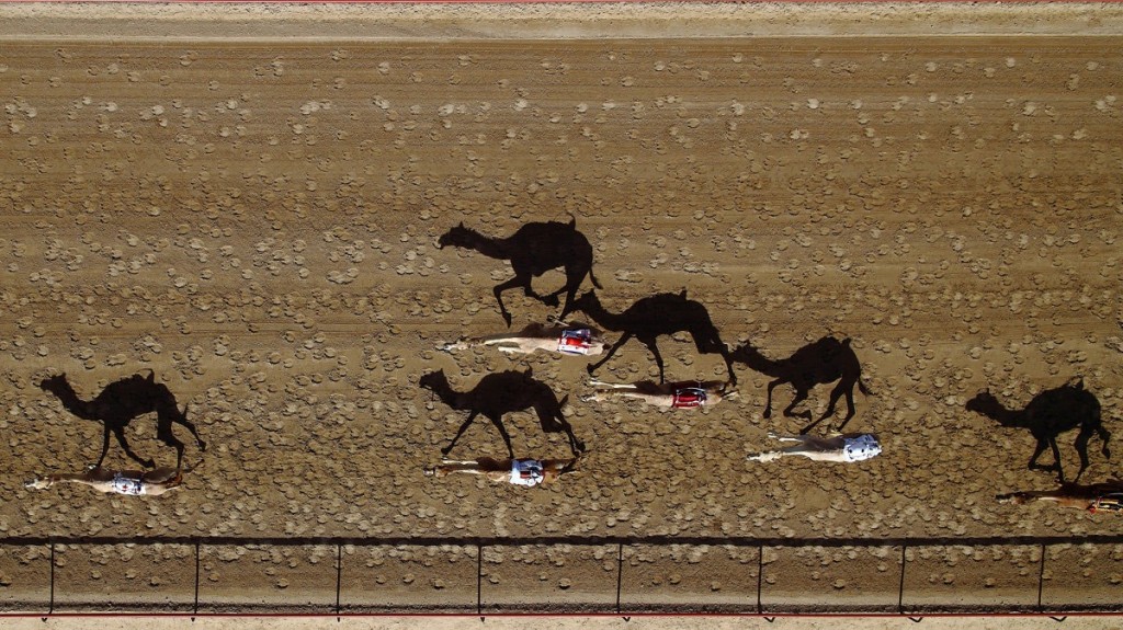 Al-Marmoun-Vertical-Race-Track,-Dubai,-UAE-by-Shoyab
