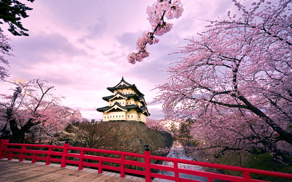 แนะนำ 7 สถานที่ชมดอกซากุระที่ญี่ปุ่น 2016