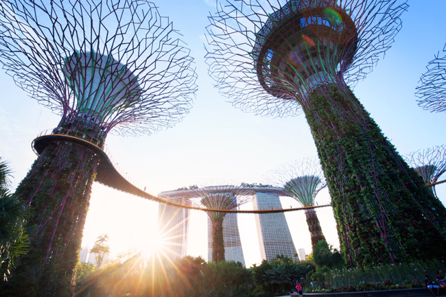 singapore Gardens by the Bay ต้นไม้เรืองแสง กิน เที่ยว สิงคโปร์