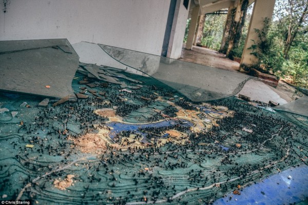 10 ภาพชวนหลอน! สวนน้ำที่ถูกทิ้งร้าง ในเวียดนาม ที่ถูกกลืนกินด้วยธรรมชาติและสัตว์ร้าย
