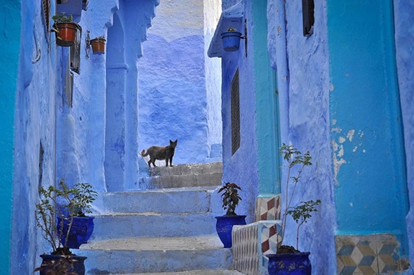 CHEFCHAOUEN (เชฟชาอูน) เมืองโบราณที่ถูกย้อมด้วยสีฟ้า! เก่าแก่ที่สุดในโมร็อกโกChefchaouen-the-Ancient-Blue-City-in-Morocco-15