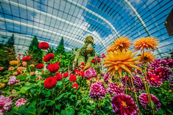 Flower Dome ที่ Gardens by the Bay