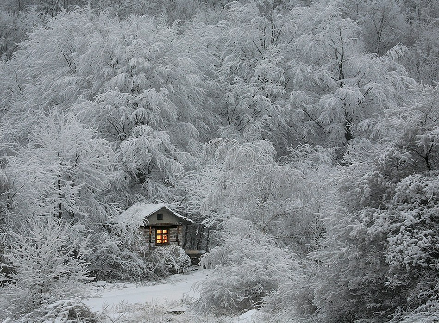 บ้านไม้กลางป่าเขา ฤดูหนาว