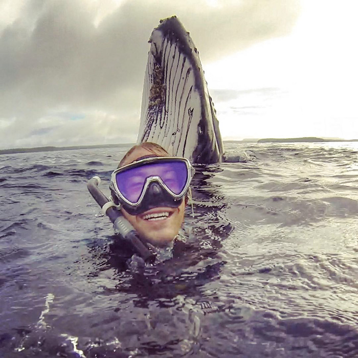 หนุ่มออสเตรเลีย วัย 24 ปี ถ่ายเซลฟี่กับวาฬกลางมหาสมุทร