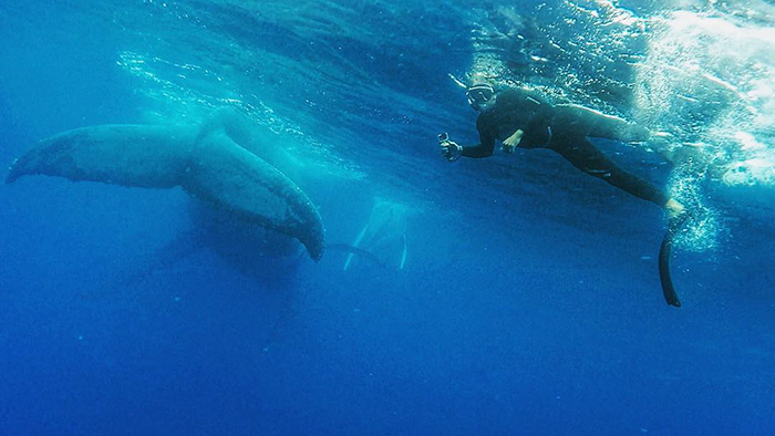 หนุ่มออสเตรเลีย ถ่ายเซลฟี่กับวาฬกลางมหาสมุทร