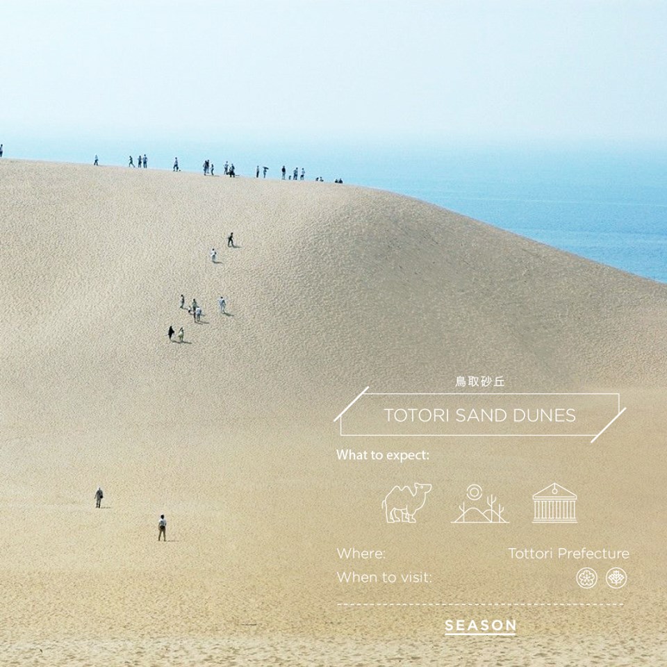 Totori Sand Dunes 鳥取砂丘
