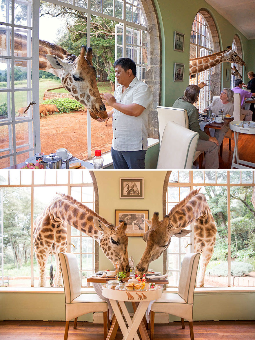  Giraffe Manor, Langata, ประเทศเคนย่า (Kenya)